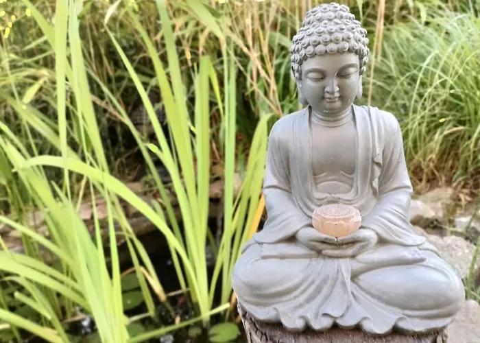 L'osmose Appartement Coulogne